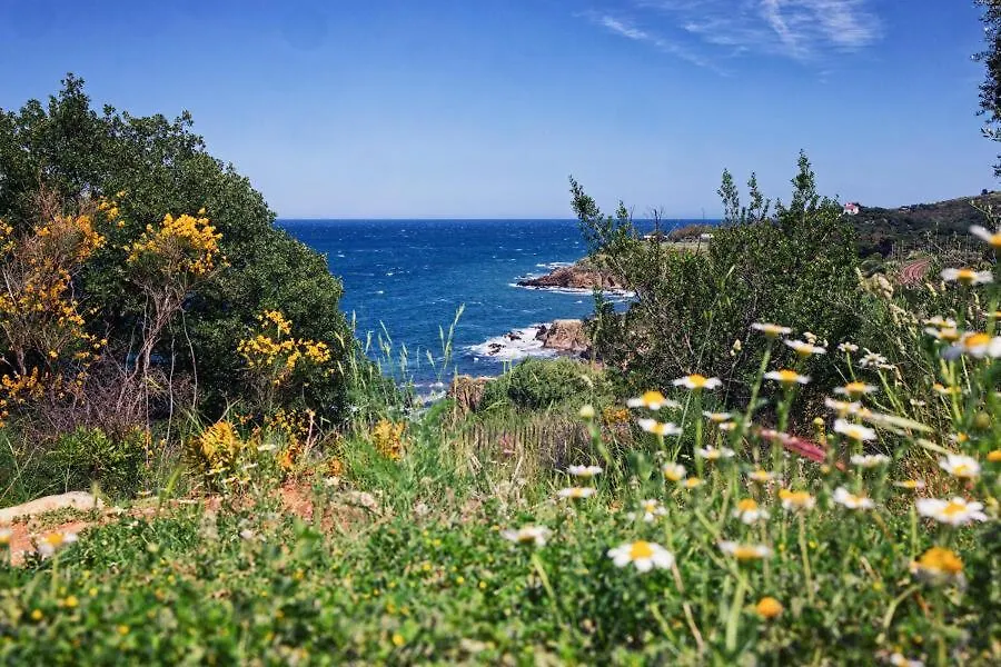 Résidence Antinéa Argelès-sur-Mer 4*,  Francia