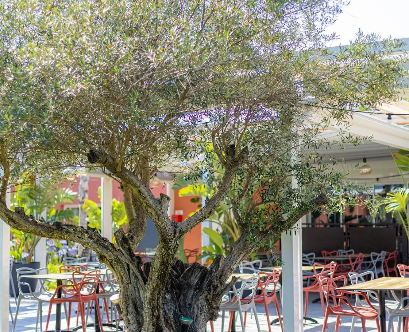Résidence Antinéa Argelès-sur-Mer Parco vacanze