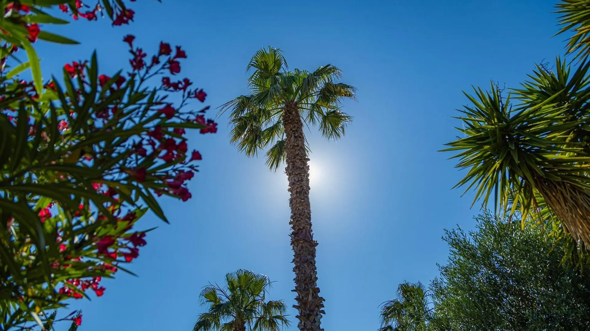 Résidence Antinéa Argelès-sur-Mer Parco vacanze